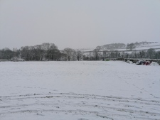 Thumbnail of photo from this article